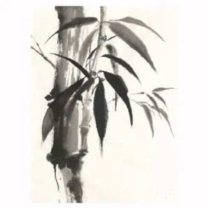 Sumi Bamboo