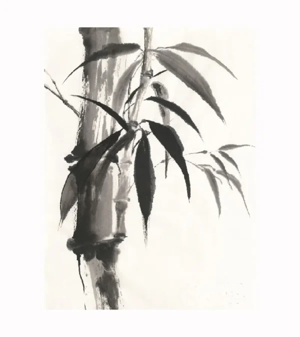 Sumi Bamboo