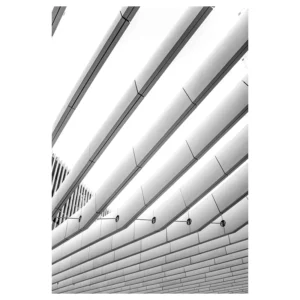 ALERO B&W
