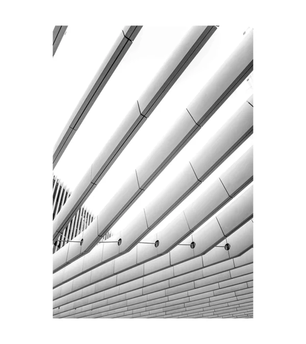 ALERO B&W