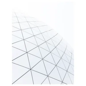 GEODESIC
