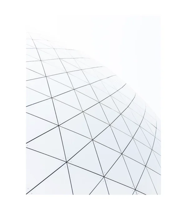 GEODESIC