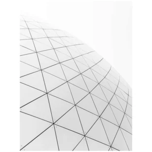 GEODESIC B&W