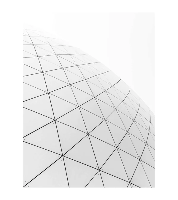 GEODESIC B&W