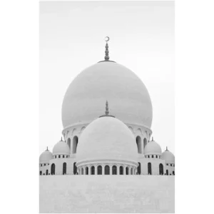 MEZQUITA SHEIKH ZAYED