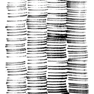 BinkinCity Spaces    B3803D
