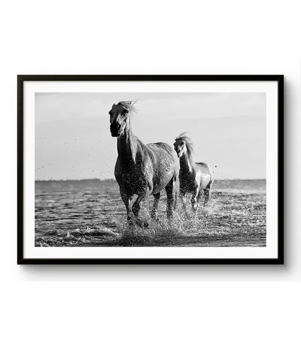 Coplas-blanco-y-negro - Imagen 5