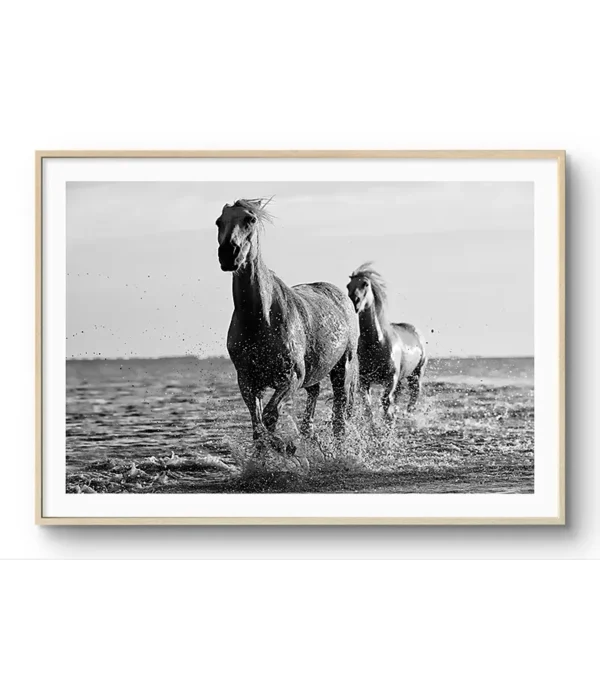 Coplas-blanco-y-negro - Imagen 6