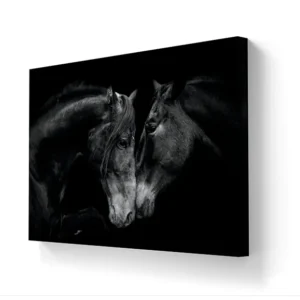 El semental y la Mari