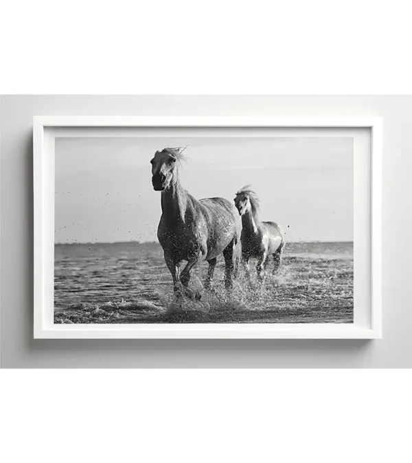 Coplas-blanco-y-negro - Imagen 7
