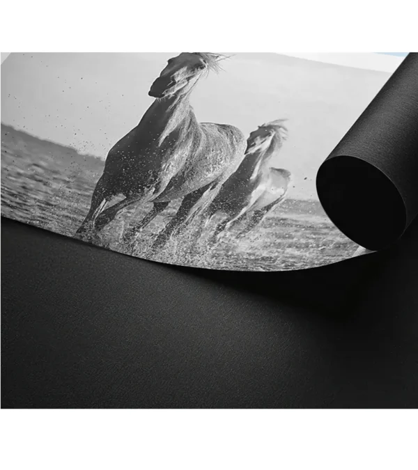 Coplas-blanco-y-negro - Imagen 8