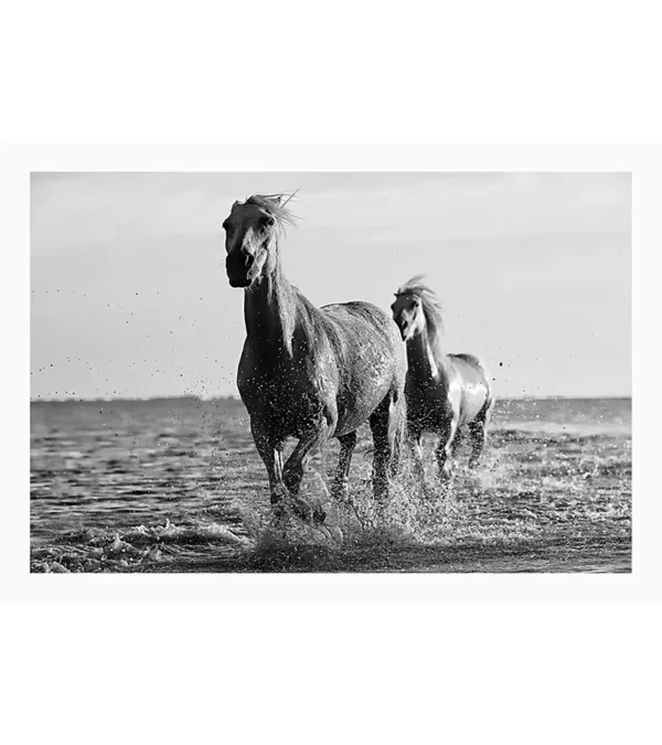Coplas-blanco-y-negro