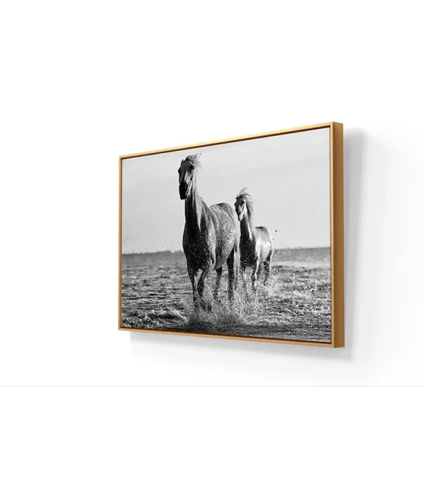 Coplas-blanco-y-negro - Imagen 10