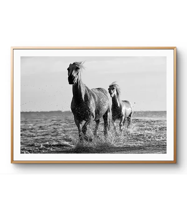 Coplas-blanco-y-negro - Imagen 2