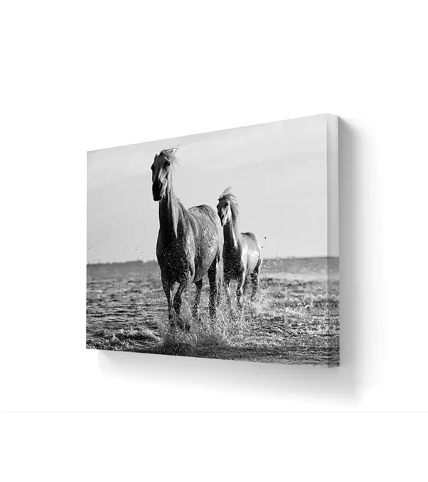 Coplas-blanco-y-negro - Imagen 3