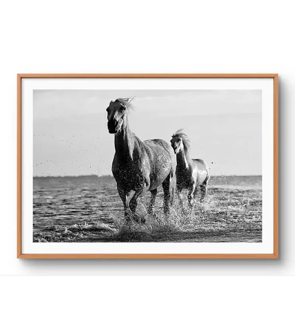 Coplas-blanco-y-negro - Imagen 4