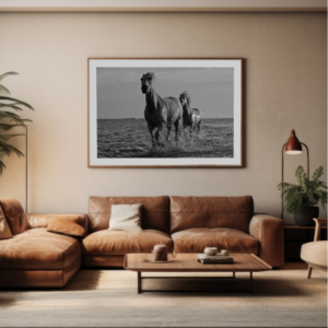 Coplas-blanco-y-negro