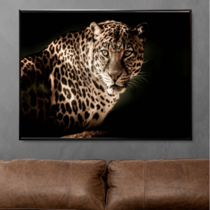 Leopardo de experiencia