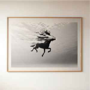 Como pá echarse opinar