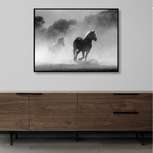 Mi pampa lo llevo adentro