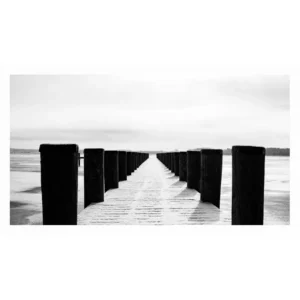 Muelle longo