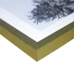 Dorado con vidrio