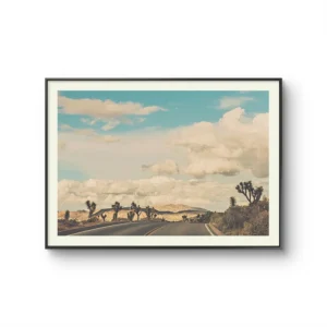 Desierto