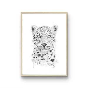 Leopardo Encandtador