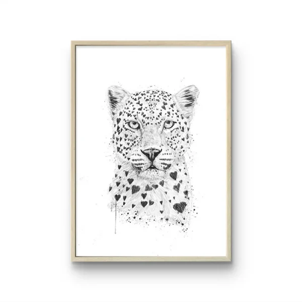 Leopardo Encandtador
