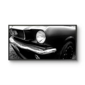 Mustang