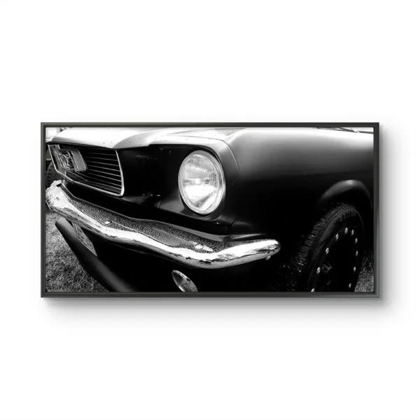 Mustang