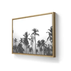 Palms ByN