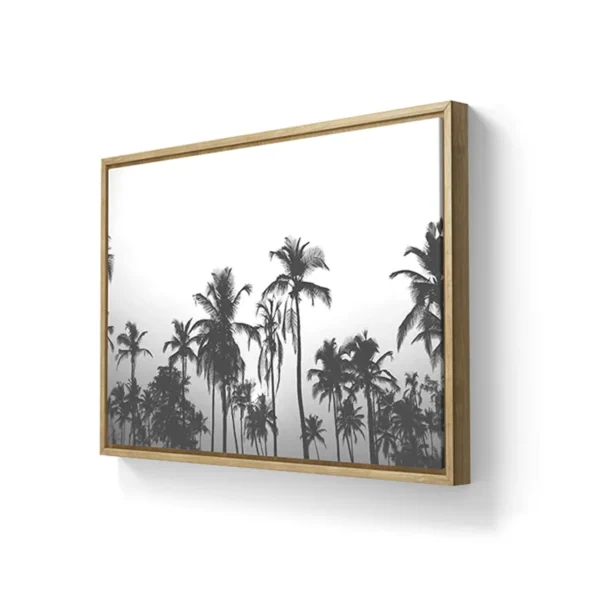 Palms ByN