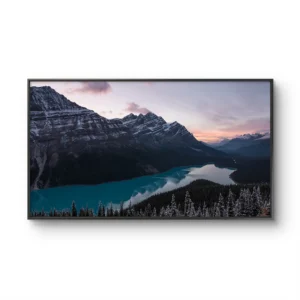 Peyto