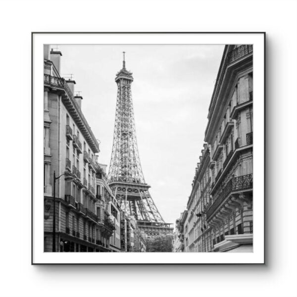 Rue