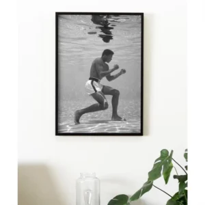 Flota como una mariposa, pica como una abeja