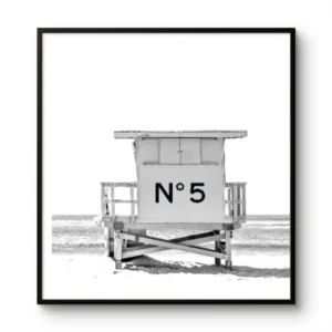 N5