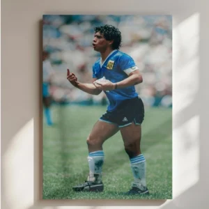 El Capitán En La Trinchera
